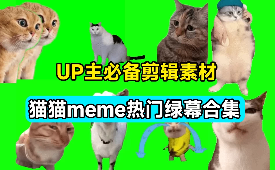 UP主必备！B站某音热门绿幕视频素材，180套猫猫meme动态绿幕合集包，含背景图BGM，含使用教程-松子软件